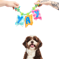 Happy Yay Banner Plush Tug Dog Toy