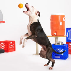 Free Throw Basketball Super Chewer Durable Fetch Dog Toy