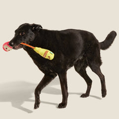 Cat & Mutt Condimutts Plush Tug Dog Toy