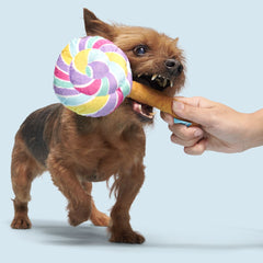 Lick-A-Lot Lollipop Plush Tug Dog Toy