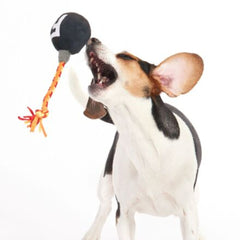 F Bomb Plush Tug Dog Toy