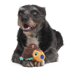 Don The Glyptodon Plush Multi-Part Dog Toy
