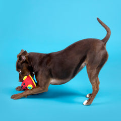 Freckles The Frog Plush 2-In-1 Rip And Reveal Dog Toy