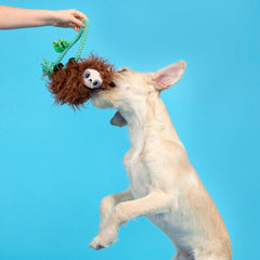 Slo-mo Beau Plush Tug Dog Toy