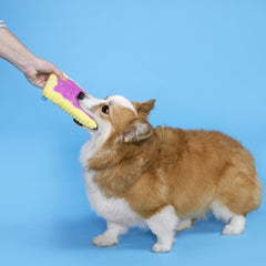 Pup Tart Plush Dog Toy