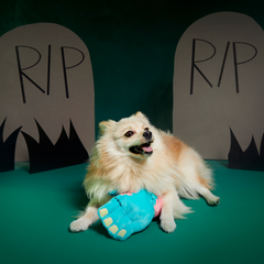 Die Five Plush Tug Dog Toy
