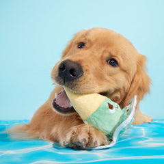 Melty Minty Monty Plush Tug Dog Toy