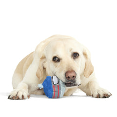 Gnar Ball Durable Super Chewer 2-in-1 Rip and Reveal Dog Toy