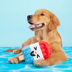 Rocket Droolsicle Plush Tug Dog Toy