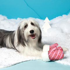 Barktic Mittens “Plaid Paw Warmers” Plush Tug Dog Toy