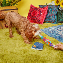 Grrroovy Threads Plush Tug + Multi-Part + Wearable Dog Toy