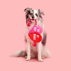 Heartstrings Tugger Plush Tug Dog Toy