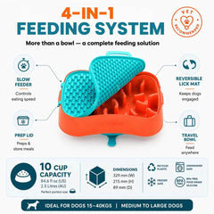 4-in-1 Slow Feeding System | Super Feedy