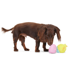 Good Hare Day Chick Durable Super Chewer 2-in-1 Rip and Reveal + Fetch Dog Toy