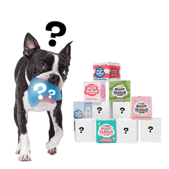 Secret Monster Club, Super Chewer Durable 2-in-1 Rip and Reveal Monthly Dog Toys