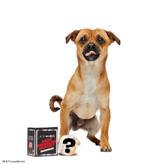 Star Wars™ Droid Smugglers Club, Super Chewer Durable Monthly Dog Toys