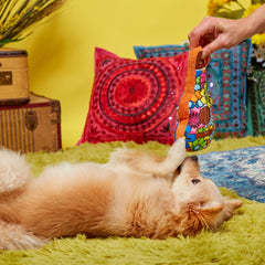 Guitar Licks Plush Dog Toy