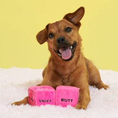 Gnawty Dog Dice Plush Multi-Part Dog Toy