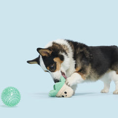 Suki Succulent Plush Multi-Part + Fetch Dog Toy