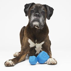 Dreidel Chompian Hanukkah Super Chewer Durable Dog Toy