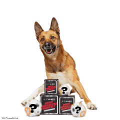 Star Wars™ Droid Smugglers Club, Super Chewer Durable Monthly Dog Toys