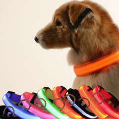 Milou & Lumi LED Glowing Pet Collar - Rainbow