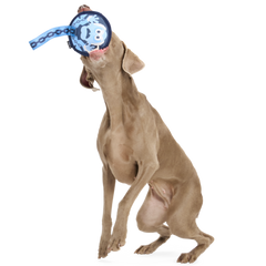 Statler and Waldorf as "Marley & Gnarley" Durable Super Chewer Tug Dog Toy