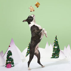 Rudolph® & Clarice™ Plush Multi-Part Dog Toy
