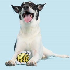 Buzzy Body Super Chewer Durable 2-in-1 Dog Toy