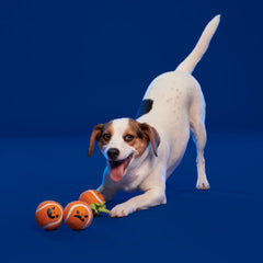 Chuckin' Punkins Plush Multi-Part Fetch Dog Toy