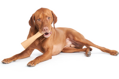 Mighty Bone Peanut Butter Super Chewer Durable Gnaw Dog Toy