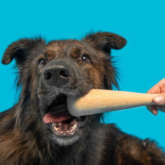 Drooleyville Slobber Super Chewer Durable Gnaw Dog Toy