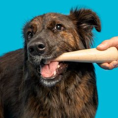 Drooleyville Slobber Super Chewer Durable Gnaw Dog Toy