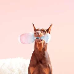 Pink Chompagne Plush Tug Dog Toy