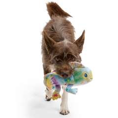 The Lizard King Plush Dog Toy