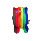 Some Bear Over The Rainbow Super Chewer Durable 2-in-1 Dog Toy