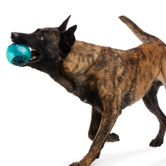 Teal Vortex Durable Super Chewer Enrichment + Fetch Dog Toy