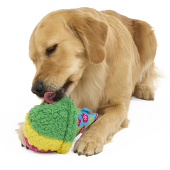 A-Sno-Ha Cone Plush Fetch Dog Toy