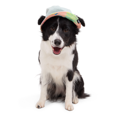 Summertime Reversible Bucket Dog Hat