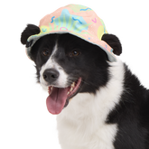 Summertime Reversible Bucket Dog Hat