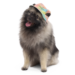 Summertime Reversible Bucket Dog Hat