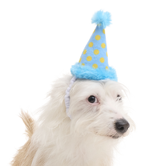 Party Hat Plush Wearable Dog Toy