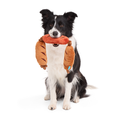 Lickin’ Links Plush Tug Dog Toy