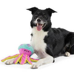 Jellysquish Plush Tug Dog Toy