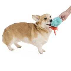 Herman the Hermit Plush Tug Dog Toy