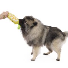 Corn on the Tug Plush Dog Toy