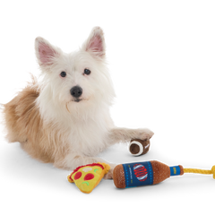 Big Game Bundle Plush Multi-Part + Tug Dog Toy