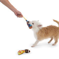 Big Game Bundle Plush Multi-Part + Tug Dog Toy