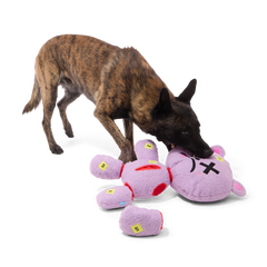 Deady Bear Plush Extra-Large Multi-Part + Enrichment Dog Toy