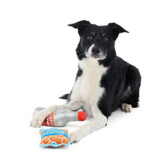 Please Remain Treated Plush Multi-Part Dog Toy